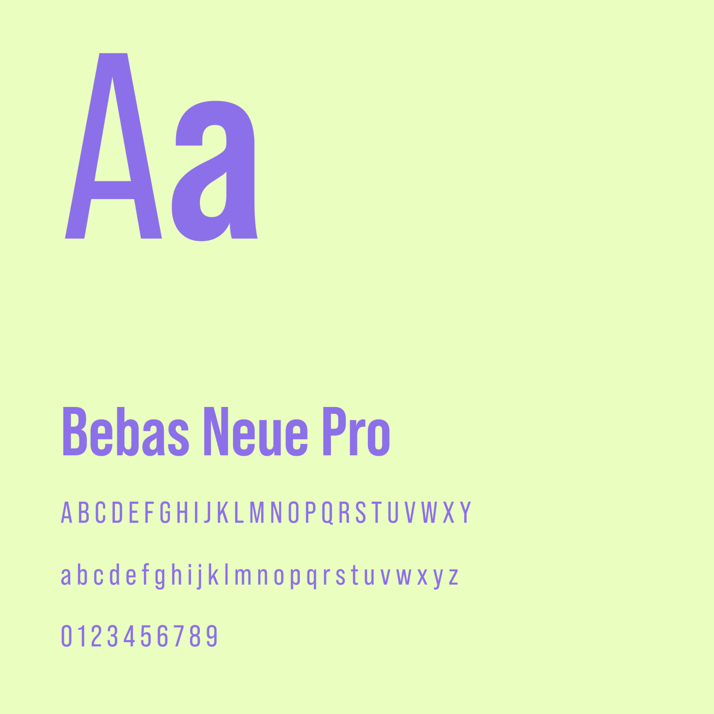 Kolo Kolo Mlynské — typografia