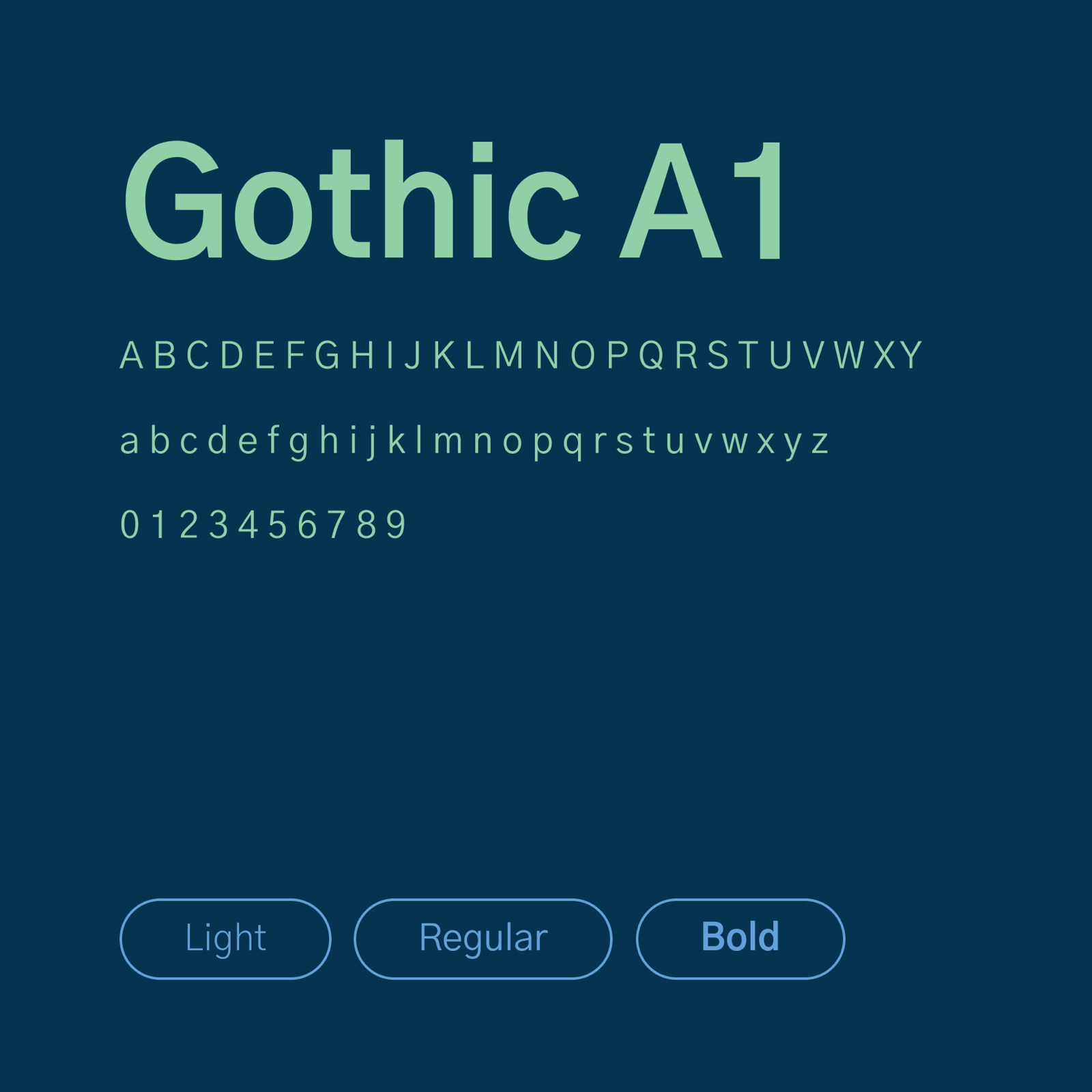 LekarPB — typografia